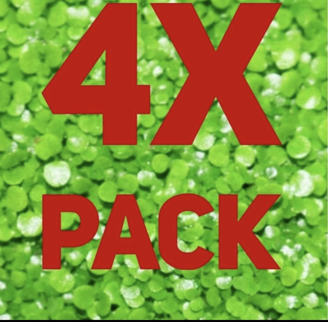 Aquarium Grass Bed Plant Seeds Fish Tank Live small Leaf Grass 4 Bag