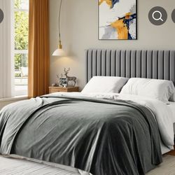 Queen Bed with a Mattress 