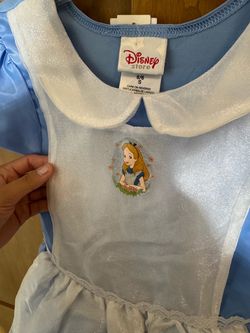 Alice in wonderland costume