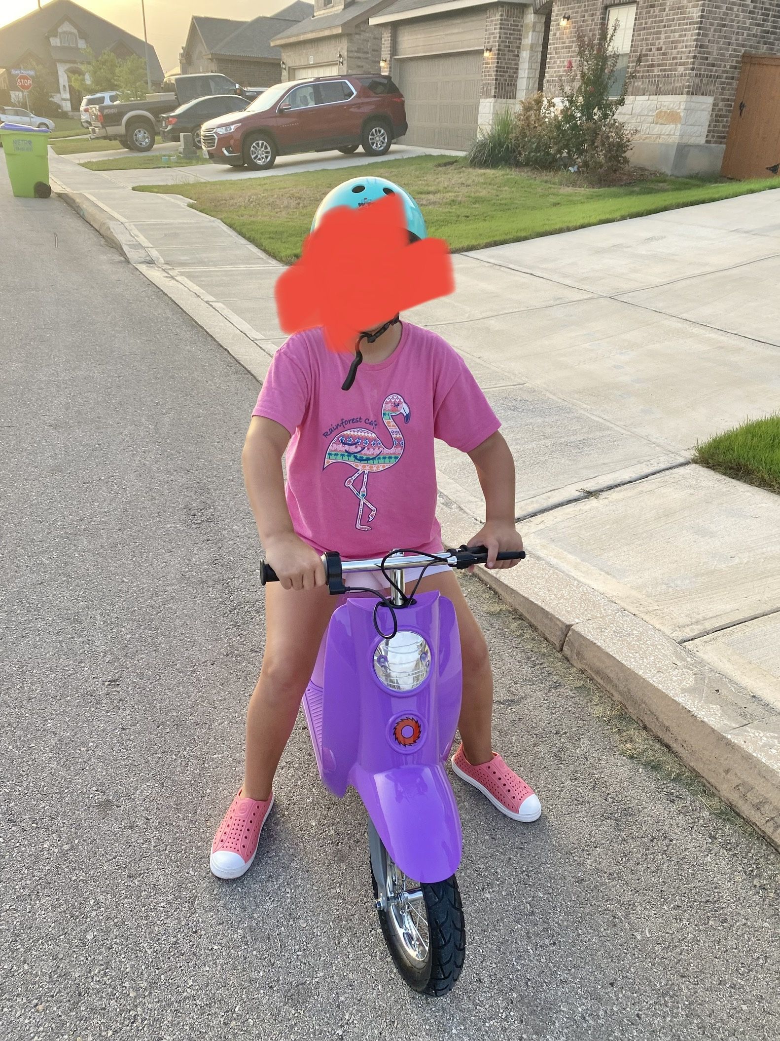 Razor Electric Scooter