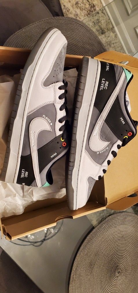 Nike SB Dunk Low VX1000 Camcorder