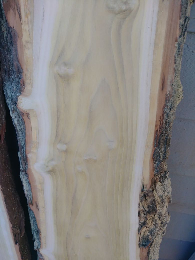 Rare Acacia wood slabs