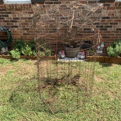 Wire Cage For Gardening Or Animals