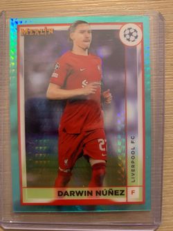 Soccer Cards signed bunch
