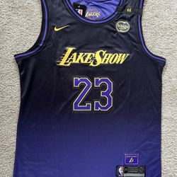 MENS LEBRON JAMES LOS ANGELES LAKERS JERSEY L LAKE SHOW