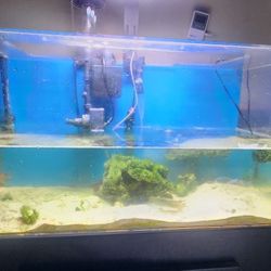 40g Bio Reef Aquarium Tank with Stand