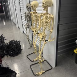 HALLOWEEN ENTHUSIASTS REJOICE! Skeletons Witches Coffin 