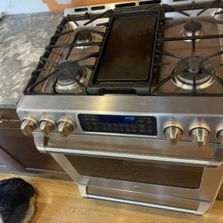 Stainless Steel Gas Range