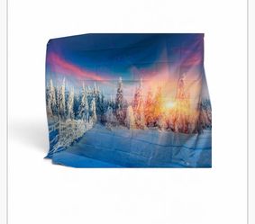 Winter Sunset Scene Photo Backdrop