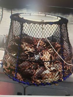   Large Crab Pots    20.00 / Each