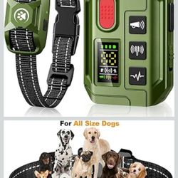 Dog Shock Collar With Remote
