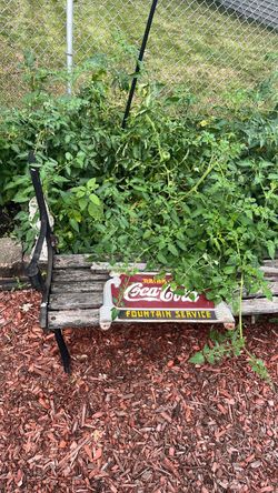 Bench Coca Cola