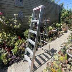 Werner Aluminum 6ft Ladder 200 lbs USA