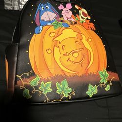 Winnie The Pooh  Lounge Fly