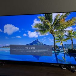 LG 65” Smart TV