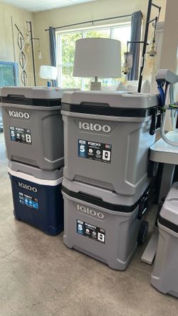 Igloo  cooler each