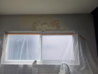 Paint Y Drywall