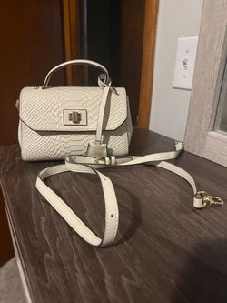 A lion purse