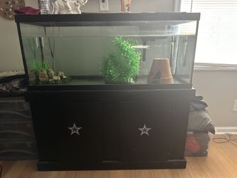 75 Gallon Fish Tank