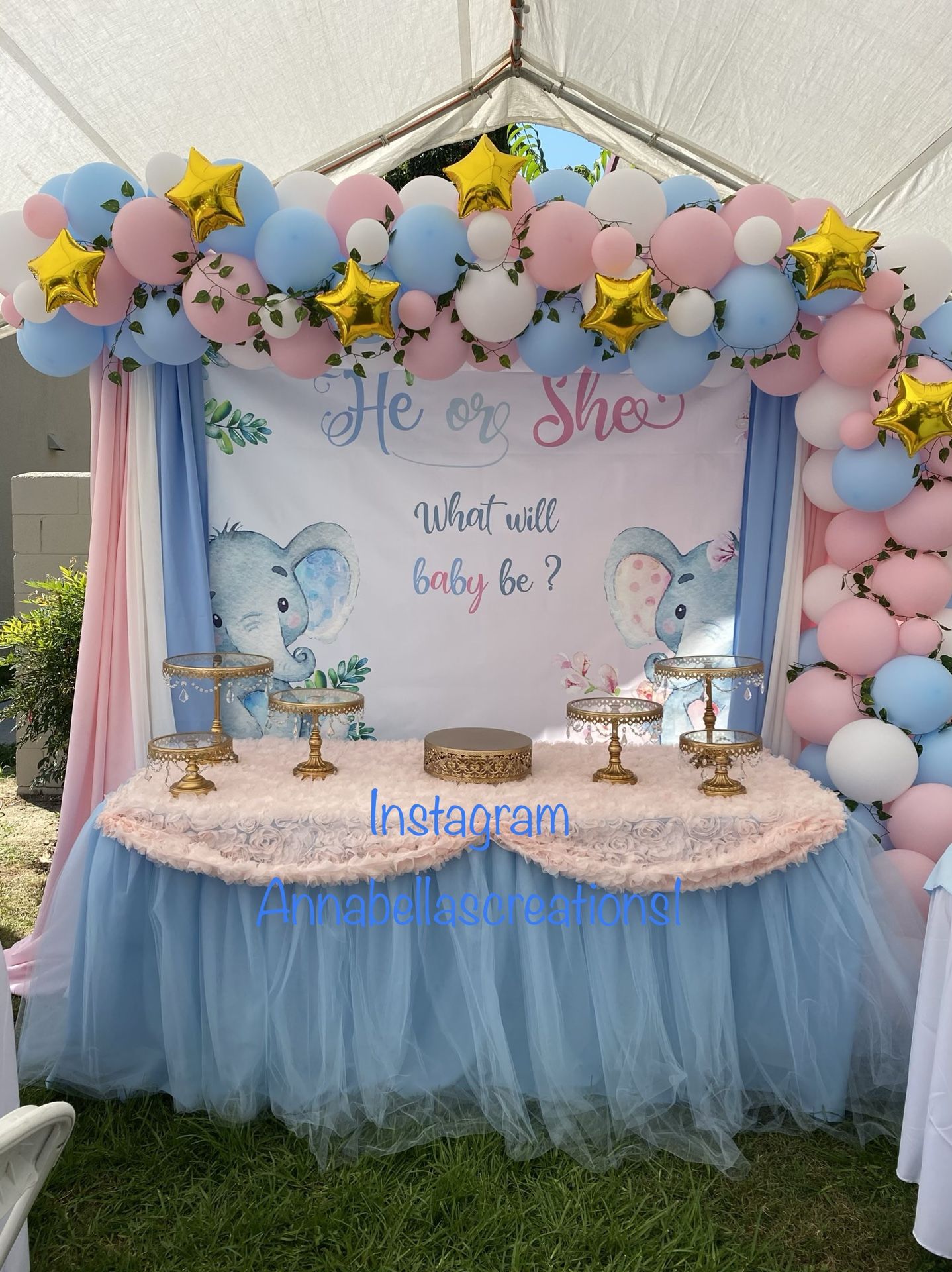 Baby gender reveal, babyshower, he or she , boy or girl party decorations, partydecoration, balloons garland