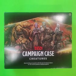 Dungeons and Dragons Campaign Case