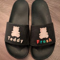 Teddy Fresh Logo  Slides 