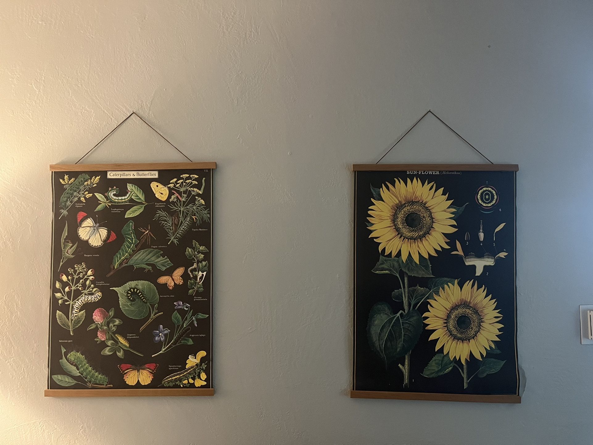 3 Floral Poster Wall Decor