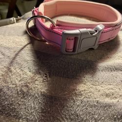 Air Tag Dog Collar 