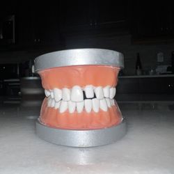 ModuPRO One MP_R320 Acadental Restoration Typodont
