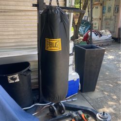 Everlast Punching Bag And Speed Bag 