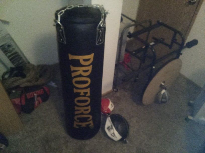 Punching Bag, Double End Bag.