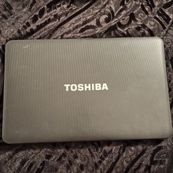 Toshiba Laptop 