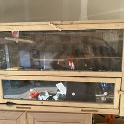 Hamster Cage With Bedding And Food 