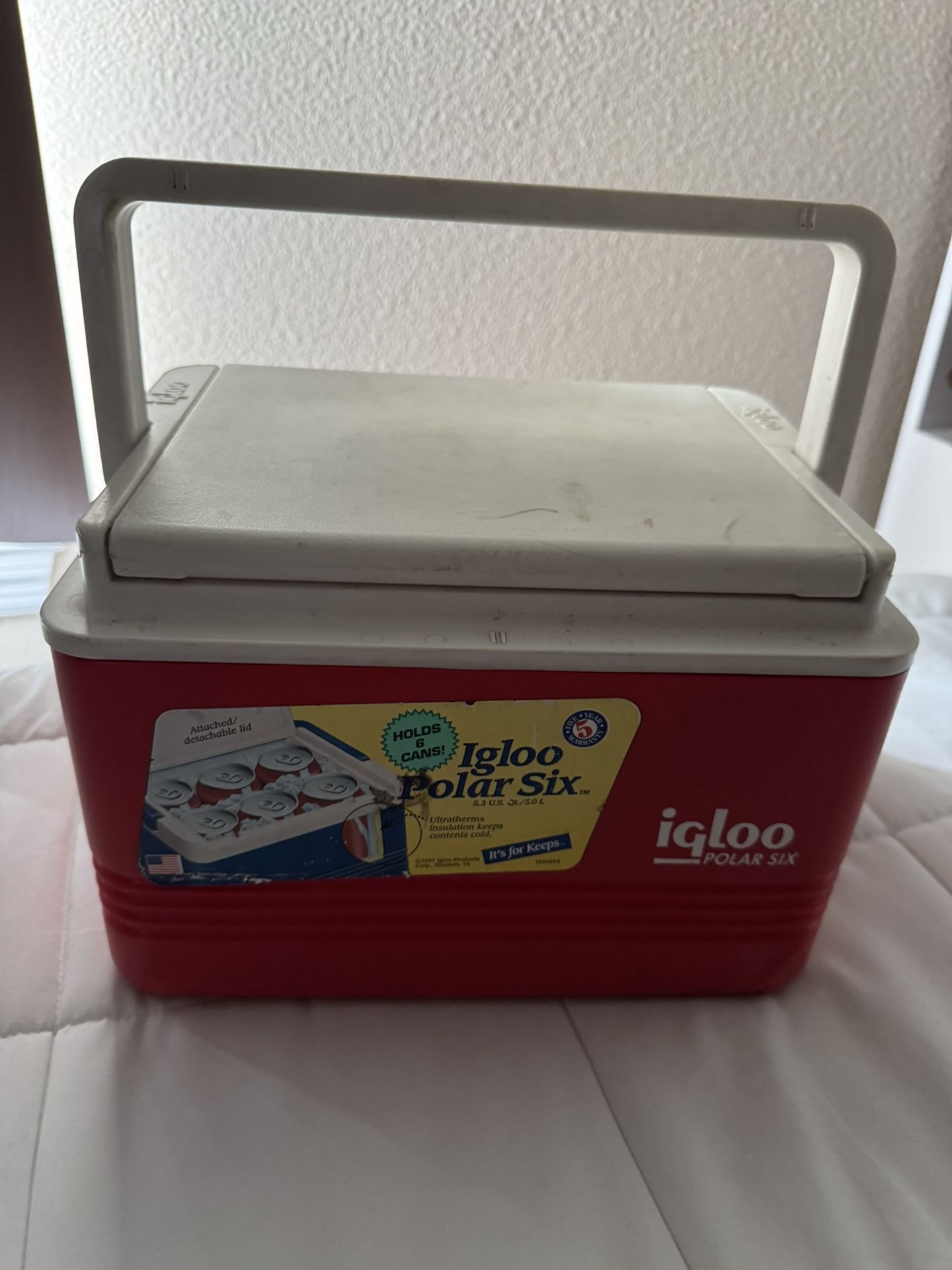 Polar igloo cooler
