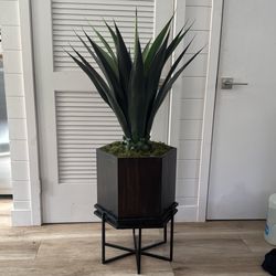 Fake Big Plant 