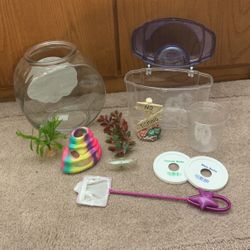 Fish Bowls and Accessories (Lot of)