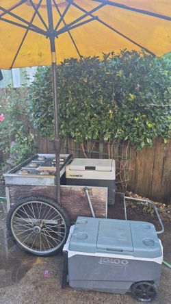 Mini food cart street vendor start