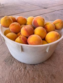 Peach durasnos 🍑