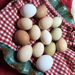 Chicken Eggs