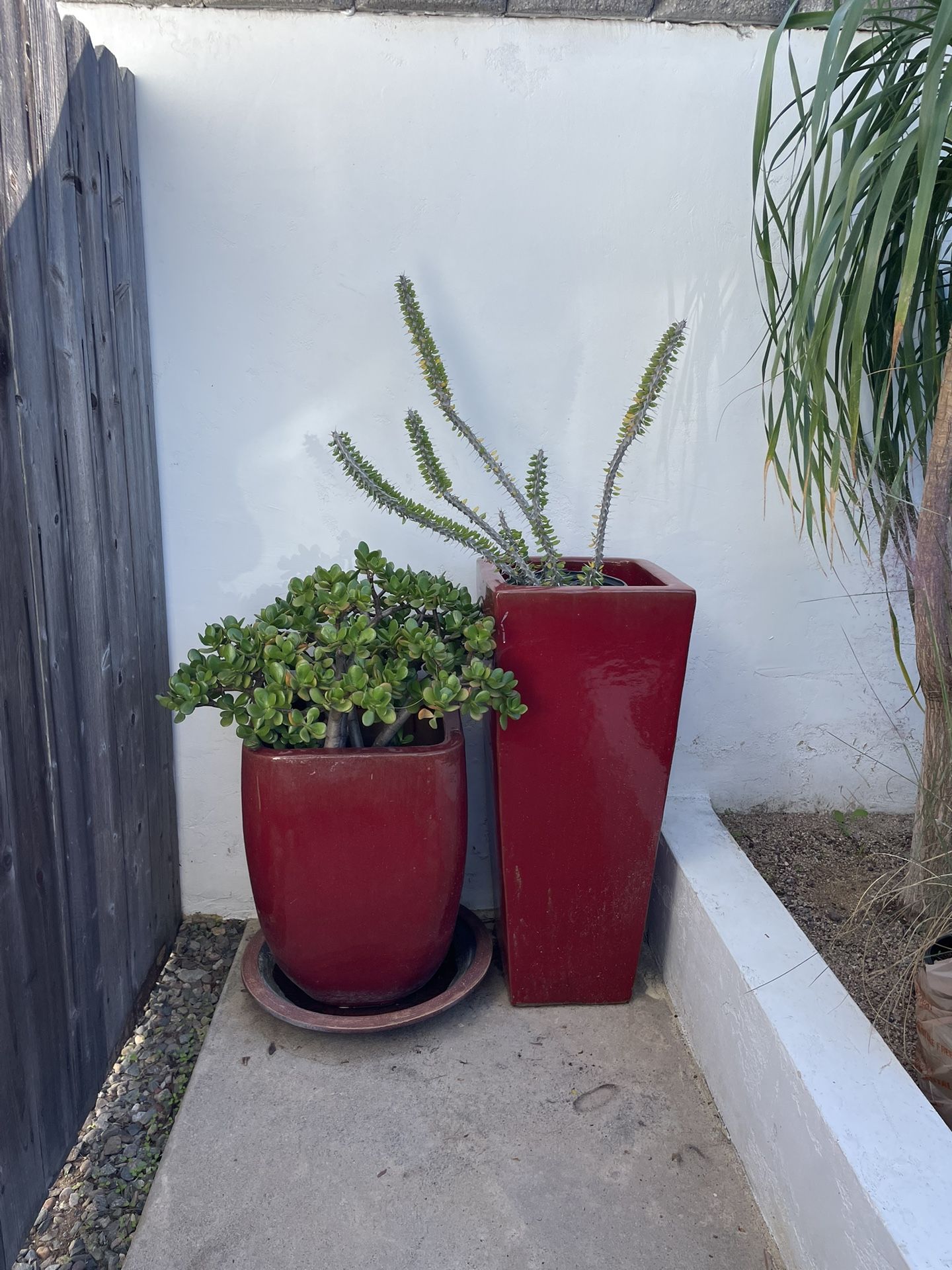 Plant Pot, Plants Not Included