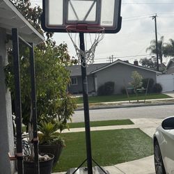 Free Basketball hoop 
