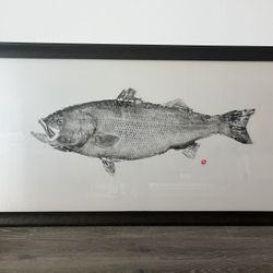 Authentic Japanese Silk Screen Fish Print
