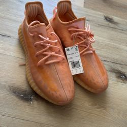 Adidas Yeezy Boost 350 V2 Mono Clay (GW2870)