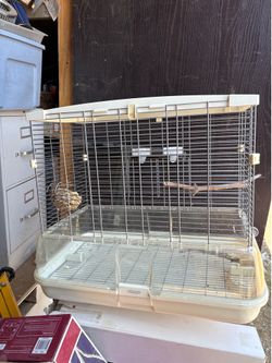Nice birdcage