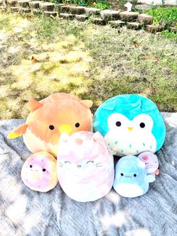 Cute Squishmallow Bundle