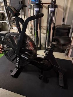 Rogue Echo Bike V2.0 Stationary Bike Fan Bike