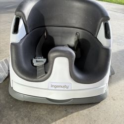 Ingenuity Baby Seat