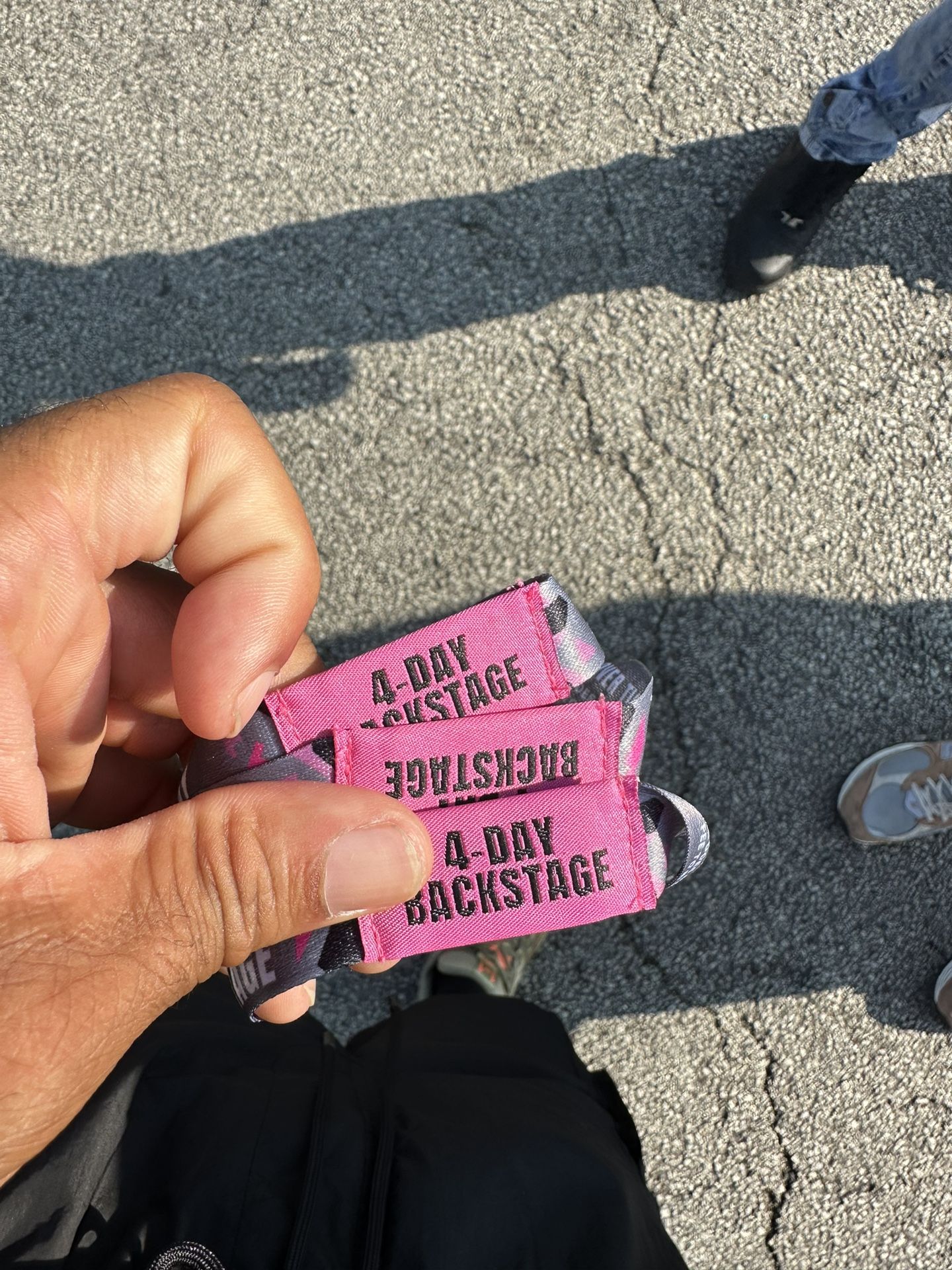 Lollapalooza 3 Day Backstage Pass For Sale
