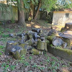 Free Firewood