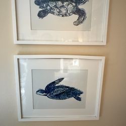 Set Of 2 Sea Turtle Pictures 